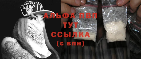 молекула духа Пересвет