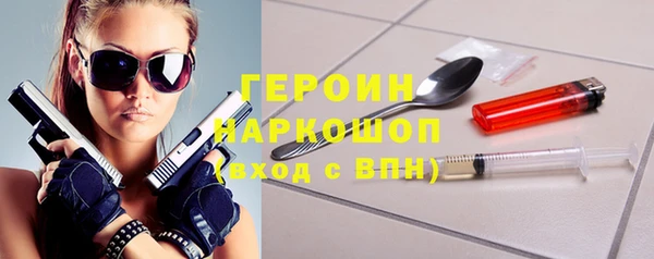 молекула духа Пересвет