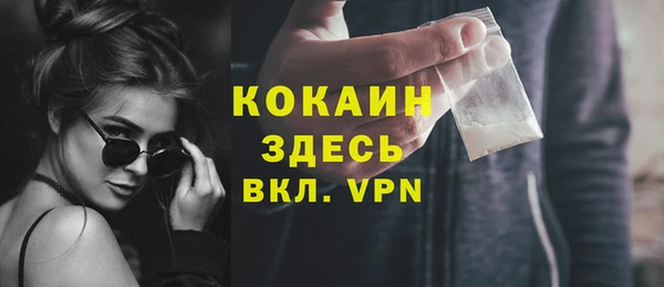 молекула духа Пересвет