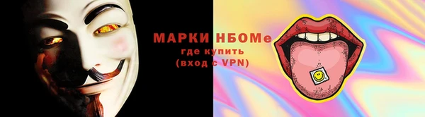 молекула духа Пересвет