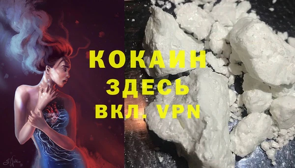 молекула духа Пересвет