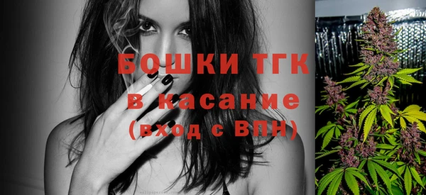 твердый Осинники