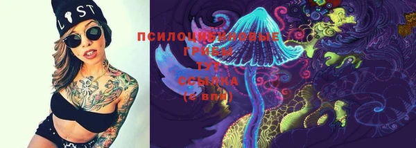 молекула духа Пересвет