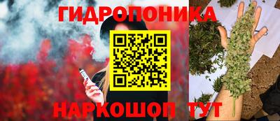 ALPHA PVP Камышлов