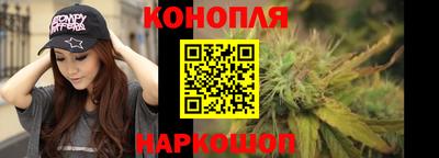 ALPHA PVP Камышлов