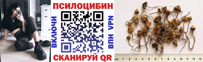 Псилоцибиновые грибы Cubensis  mega ссылки  Иркутск 