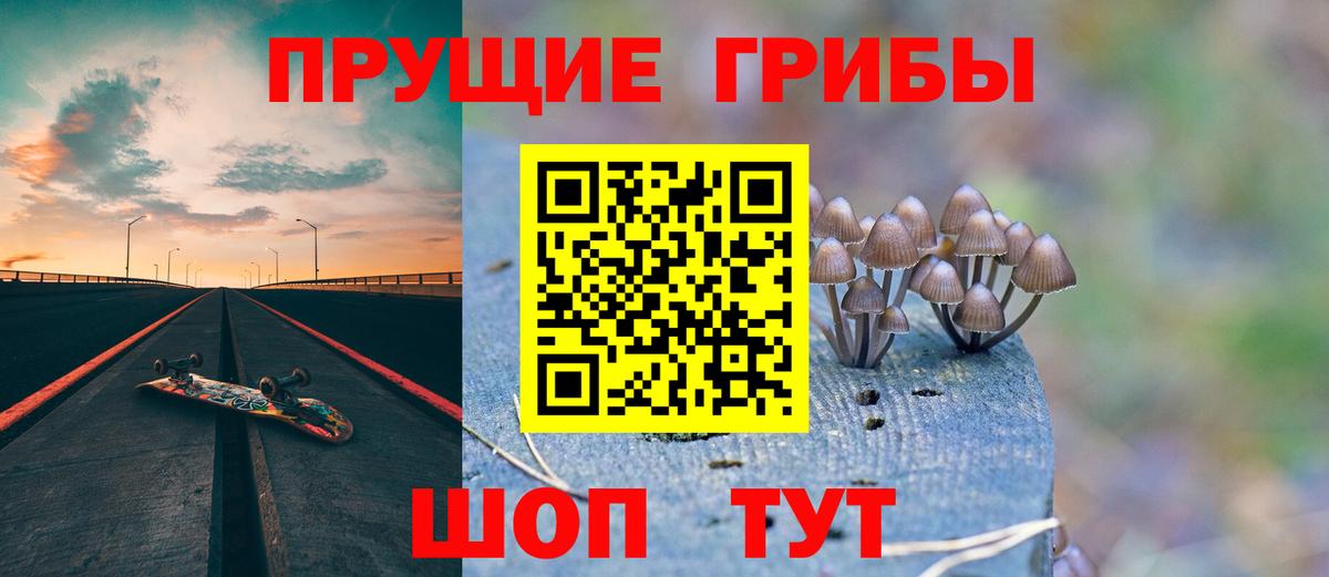 Галлюциногенные грибы GOLDEN TEACHER  наркошоп  Иркутск  Вход с VPN 